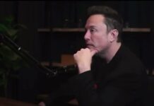 Elon Musk's Truth About the FEC