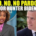 Watch I White House' KJP Repeatedly Denied Pardon For Hunter Biden I U.S Viral News