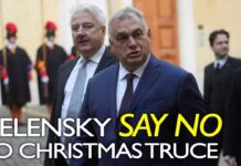 Hungary's Orban proposes Ukraine Christmas truce and POW swap to Putin