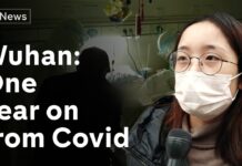 Wuhan a year after the emergence of the Covid virus