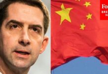 JUST IN: Tom Cotton Rips "Stupid Food Market" COVID-19 Origin Claim