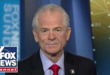 Peter Navarro stands by Trump's tariffs as successful trade tactic