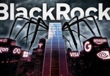 BlackRock: The Conspiracies You Don’t Know