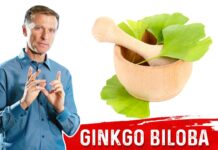 What is Ginkgo Biloba? – The Benefits of Ginkgo Biloba – Dr.Berg