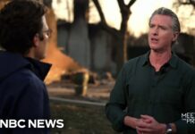 Newsom issues executive order suspending environmental regulations to help L.A. rebuild after fires