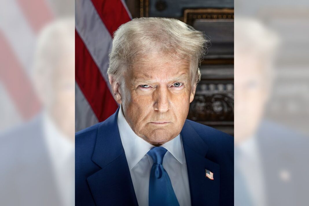 President Donald Tamp Official Portrait