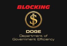 BLOCKING DOGE: Department of Government Efficiency