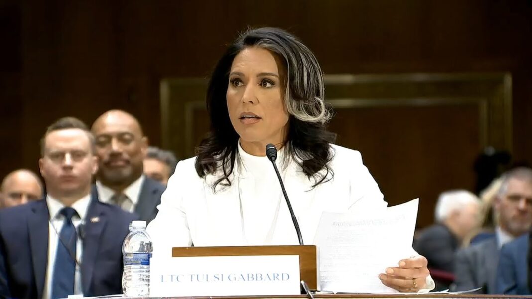 Tulsi Gabbard: I Refuse To Be My Political Opponents Puppet