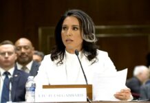 Tulsi Gabbard: I Refuse To Be My Political Opponents Puppet