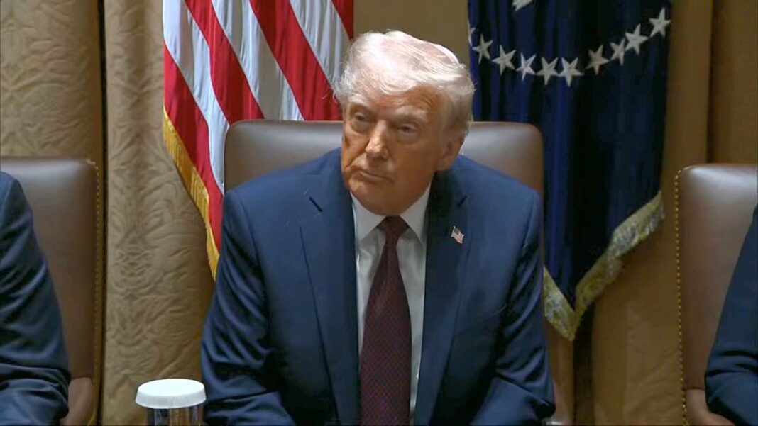 President Trump During Cabinet Meeting on March 24, 2025