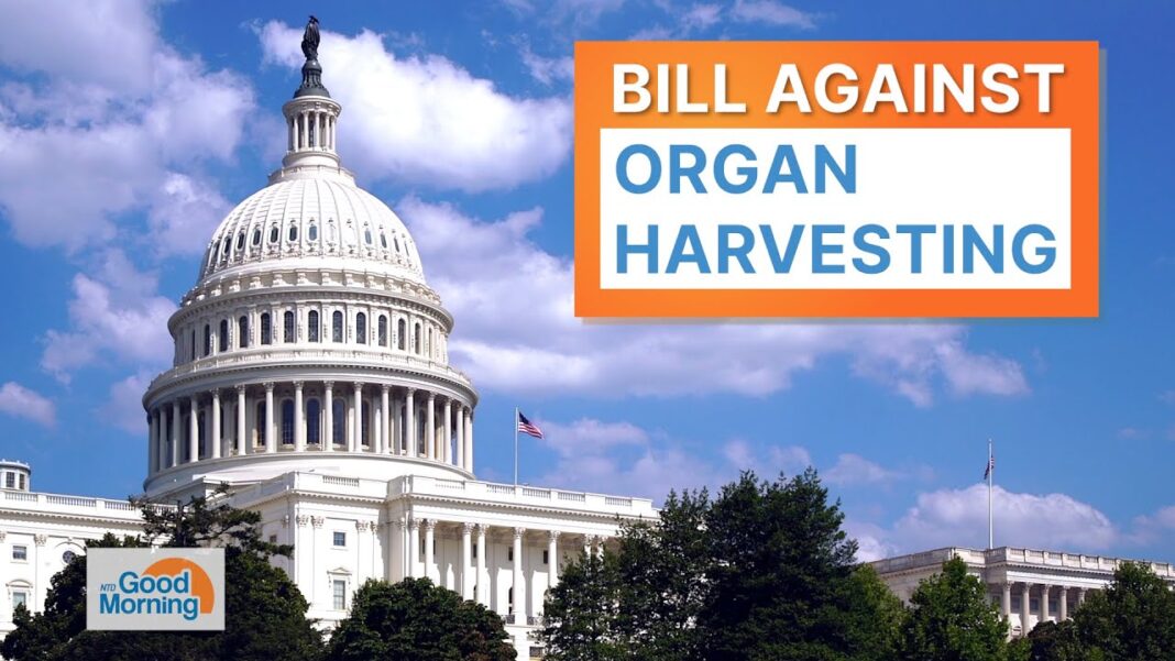 House Passes Bill 413-2 to Punish Chinese Regime for Organ Harvesting; Tennessee School Shooting