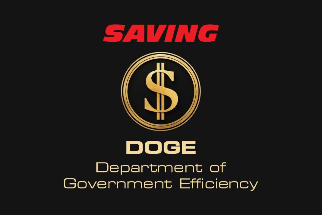 Doge: Department of Government Efficiency Saving Money